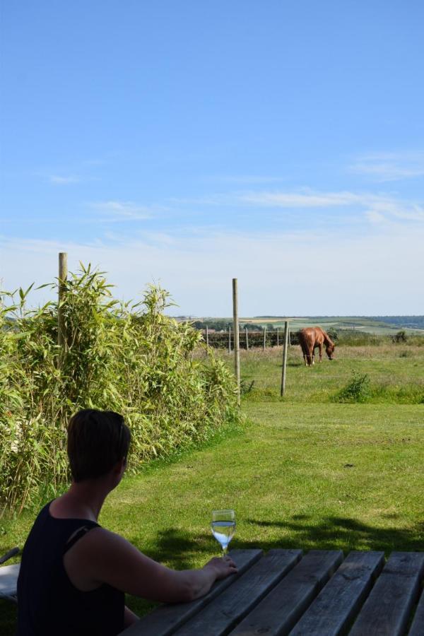 Le Clos de l'Angley Gîtes et pension équestre Caffiers Esterno foto