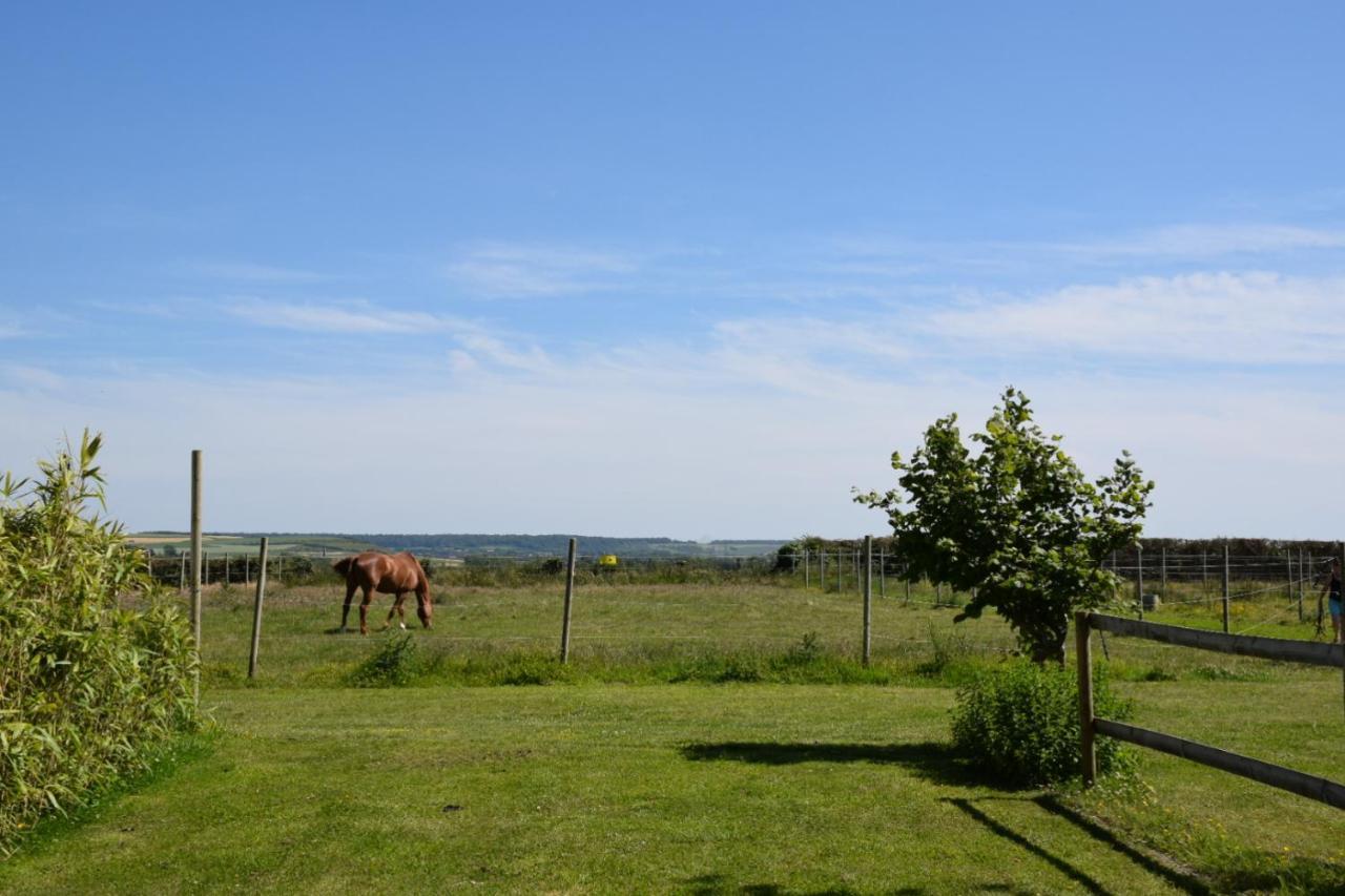 Le Clos de l'Angley Gîtes et pension équestre Caffiers Esterno foto