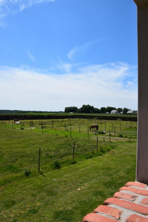 Le Clos de l'Angley Gîtes et pension équestre Caffiers Esterno foto