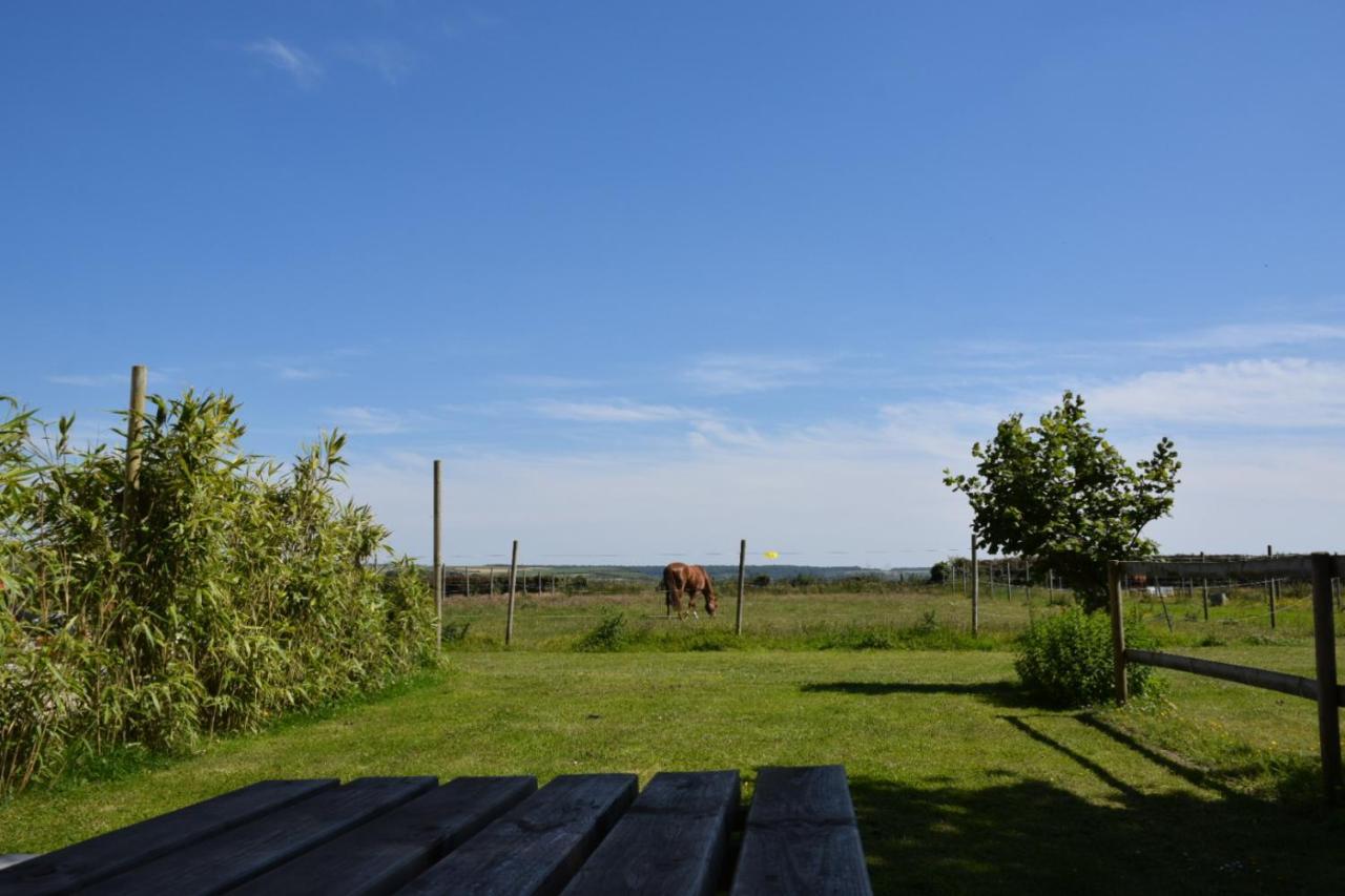Le Clos de l'Angley Gîtes et pension équestre Caffiers Esterno foto