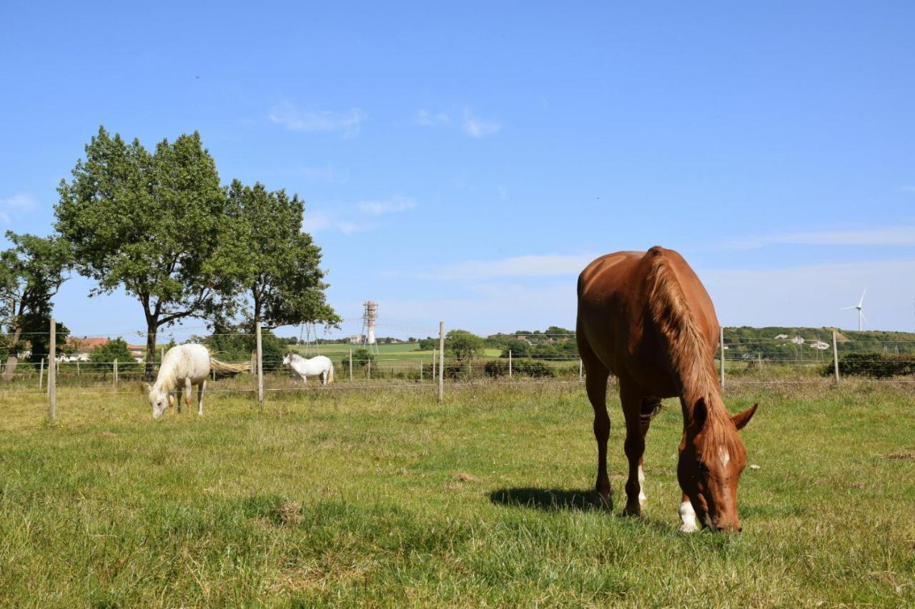 Le Clos de l'Angley Gîtes et pension équestre Caffiers Esterno foto