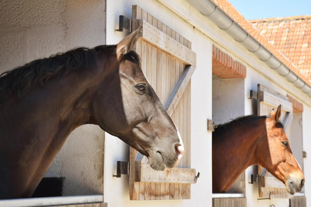 Le Clos de l'Angley Gîtes et pension équestre Caffiers Esterno foto