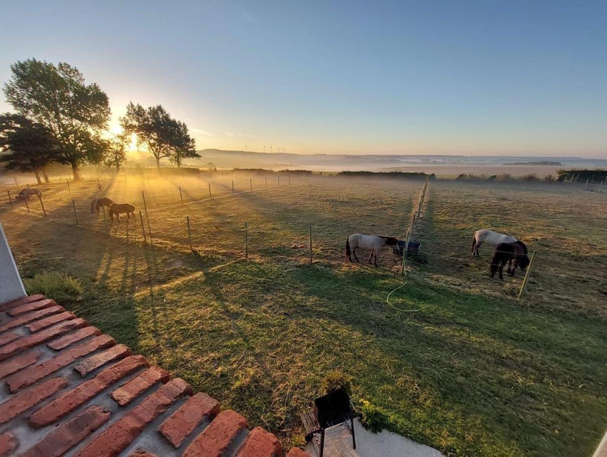 Le Clos de l'Angley Gîtes et pension équestre Caffiers Esterno foto